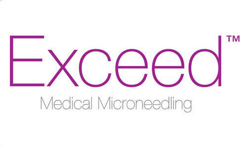 exceed-logo-1